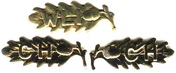 leafs.jpg (28653 bytes)